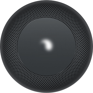 HomePod spinning light endless boot